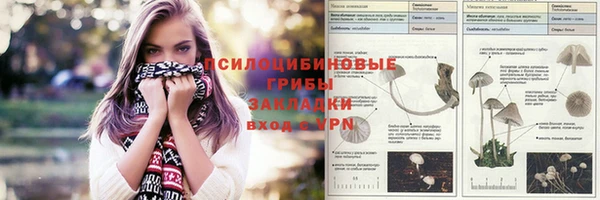 первитин Бородино